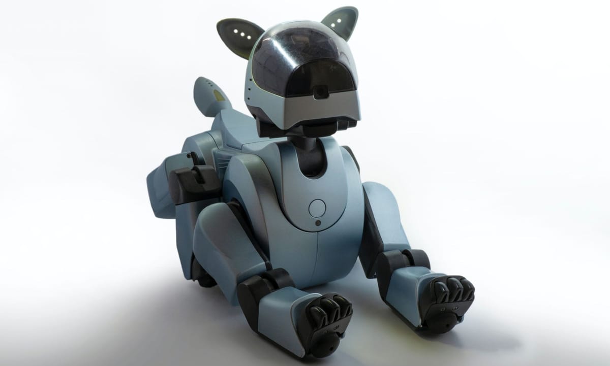 How Robotic Dog for Seniors Improve Quality of Life