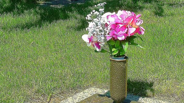 Understanding That Death is a Part of Life: My Personal Perspective